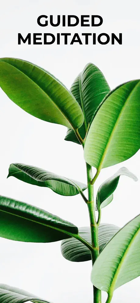 Meditation Timer app screenshot 3